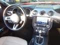 Ford Mustang GT Convertible 5.0 V8 Autm. Sitzklima Rot - thumbnail 10