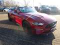 Ford Mustang GT Convertible 5.0 V8 Autm. Sitzklima Rot - thumbnail 7
