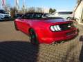 Ford Mustang GT Convertible 5.0 V8 Autm. Sitzklima Rot - thumbnail 4