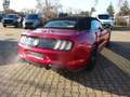 Ford Mustang GT Convertible 5.0 V8 Autm. Sitzklima Rot - thumbnail 23