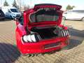 Ford Mustang GT Convertible 5.0 V8 Autm. Sitzklima Rot - thumbnail 14