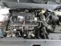Kia Sportage SPORTAGE 1.6 T-GDI 160 48V 2WD DCT GT-LINE MJ25 SC Bianco - thumbnail 16
