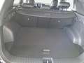 Kia Sportage SPORTAGE 1.6 T-GDI 160 48V 2WD DCT GT-LINE MJ25 SC Bianco - thumbnail 15