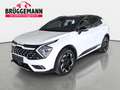 Kia Sportage SPORTAGE 1.6 T-GDI 160 48V 2WD DCT GT-LINE MJ25 SC Bianco - thumbnail 1