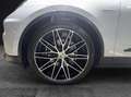 Porsche Macan 4 Gris - thumbnail 8
