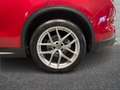 Alfa Romeo Stelvio 2.2 t Executive Q4 210cv auto Red - thumbnail 6