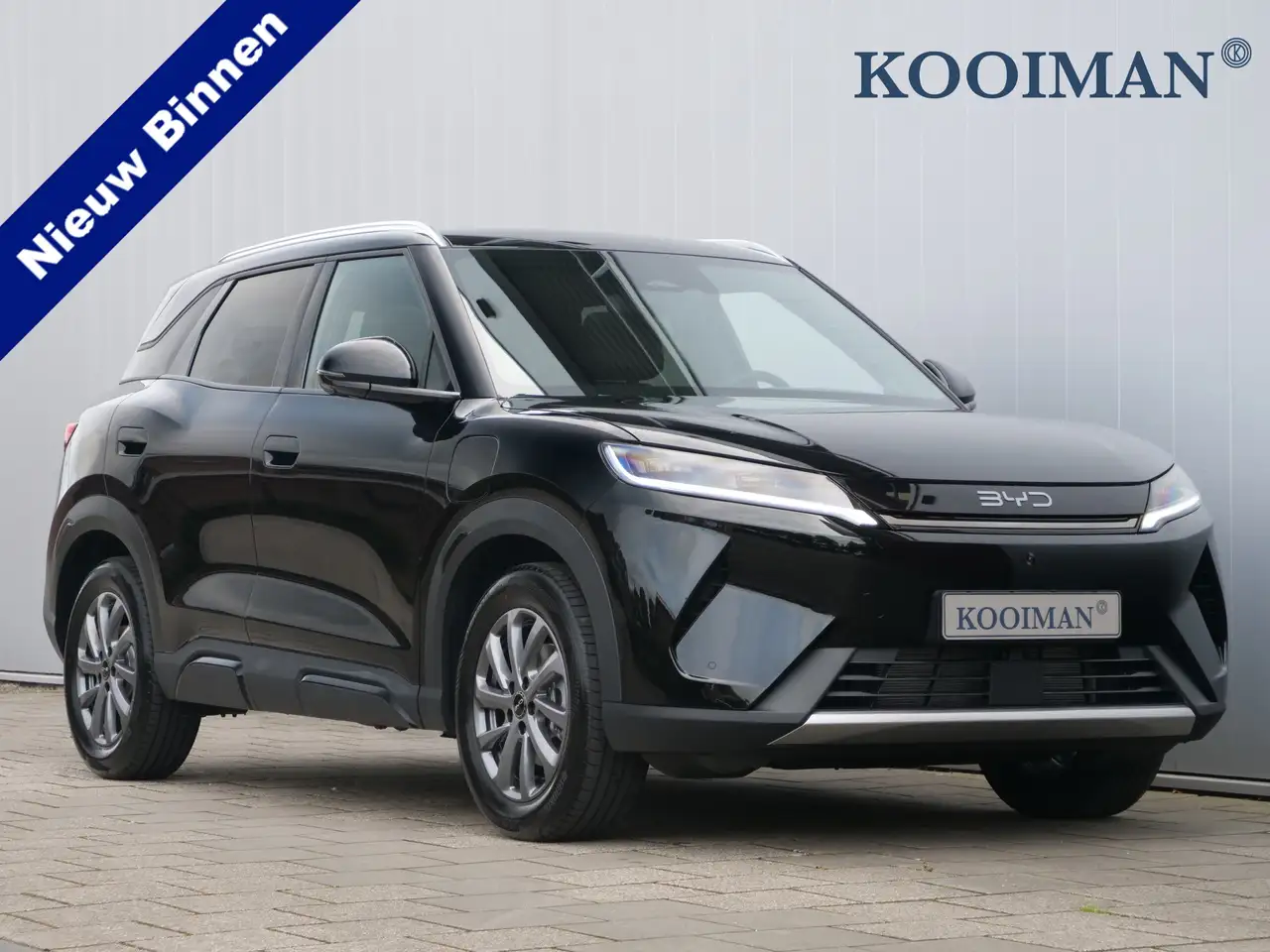 BYD Atto 2
