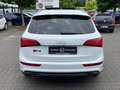 Audi SQ5 3.0 TDI quattro Weiß - thumbnail 5