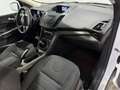 Ford Kuga 2.0TDCi Trend 4x2 120 Blanc - thumbnail 26