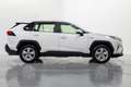 Toyota RAV 4 2.5 hybrid 2WD Business Blanco - thumbnail 7