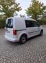 Volkswagen Caddy Kasten Trendline DSG Standheizung Wit - thumbnail 3
