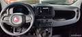 Fiat New Panda PANDA - 1.0 HYBRID 70CV Bleu - thumbnail 5