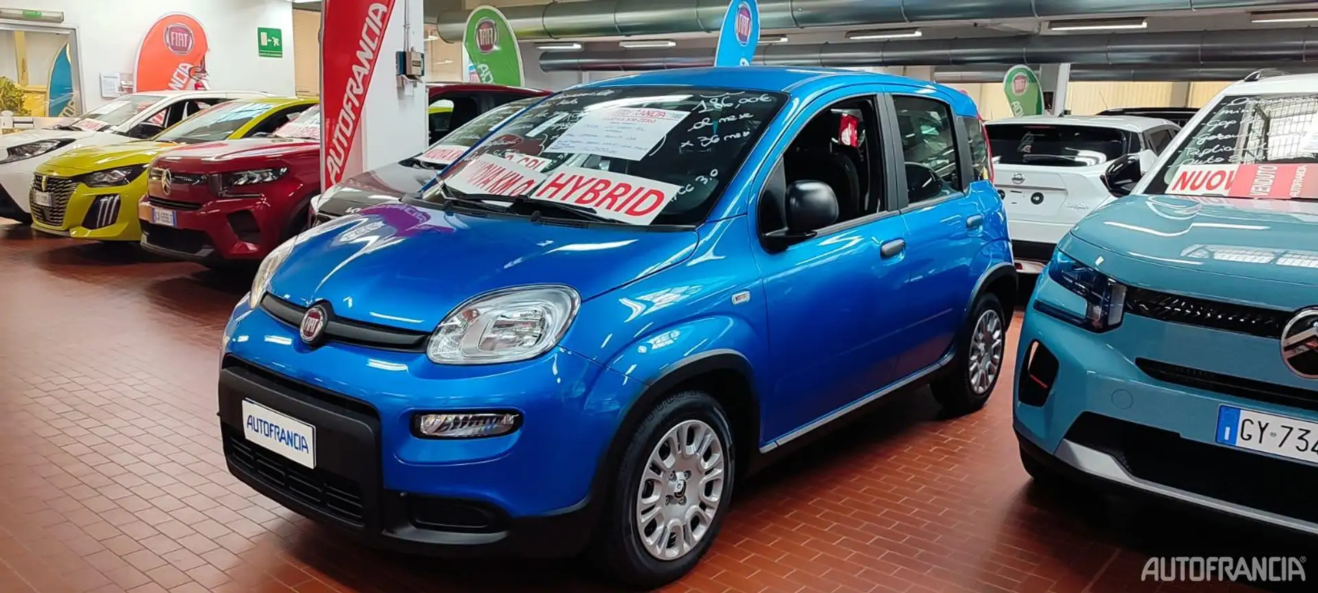 Fiat Panda PANDA - 1.0 HYBRID 70CV Bleu - 1