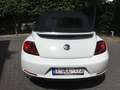 Volkswagen Beetle The Cabriolet 1.2 TSI BlueMotion Technology - thumbnail 16
