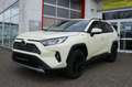 Toyota RAV 4 2.5 Hybrid Team D Taxi Paket, Relax Garant Jaune - thumbnail 1