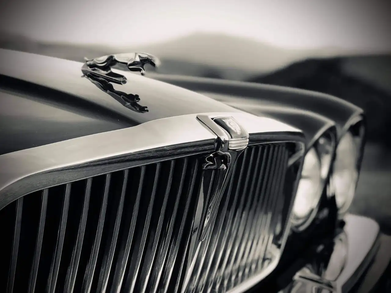 Jaguar XJ12 5.3 Sovereign HE, foto 6