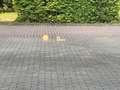 BMW X2 xDrive M35i AUTOM.  4x4 HEAD-UP KAM. GARANTIE Weiß - thumbnail 27