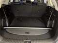 Kia Sorento 2.2 crdi Evolution 4wd dct8 Groen - thumbnail 16