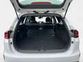 Kia Ceed SW / cee'd SW Ceed Sportswagon 1.5 T-GDI  Spirit ACC Navi FLA Weiß - thumbnail 13