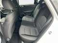 Kia Ceed SW / cee'd SW Ceed Sportswagon 1.5 T-GDI  Spirit ACC Navi FLA Weiß - thumbnail 10