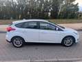 Ford Focus Focus 1.0 Ecoboost Auto-S Blanco - thumbnail 4