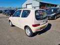 Fiat Seicento 1.1 Young Bj:2006 NAP! - thumbnail 3