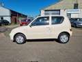 Fiat Seicento 1.1 Young Bj:2006 NAP! - thumbnail 10