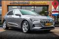 Audi e-tron e-tron 50 quattro Launch edition plus 71 Grau - thumbnail 1
