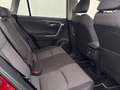 Toyota RAV 4 2.5 hybrid 4WD Advance Roşu - thumbnail 7