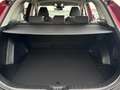 Toyota RAV 4 2.5 hybrid 4WD Advance Roşu - thumbnail 10
