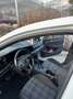 Volkswagen Golf GTE GTE Plug-in- Hybrid, sportliche Top Austattung Weiß - thumbnail 8