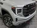 GMC Sierra 1500 AT4 MY2025 6.2-V8 Belüftung 360° Gri - thumbnail 2