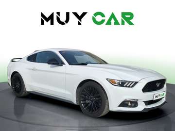 Fastback 2.3 EcoBoost Aut.