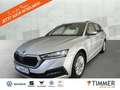 Skoda Octavia Combi 2.0 TDI DSG *LED *TEMPO *NAVI *SHZ *DAB *AP Silber - thumbnail 1