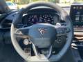 CUPRA Terramar Americas Cup Limited Edition 2.0 TSI Gris - thumbnail 15