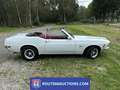 Ford Mustang 5.0 cabriolet | 1970 | Route 66 Auctions Zwart - thumbnail 1