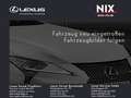 Lexus UX 300h 2.0 Hybrid F-Sport Design LED SHZ Grau - thumbnail 1
