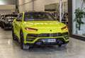 Lamborghini Urus 4.0 V8 Aut. Vert - thumbnail 36