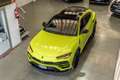 Lamborghini Urus 4.0 V8 Aut. Vert - thumbnail 34
