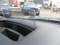 Ford Kuga ST-Line X Automatik , Front/Heckkamera Blau - thumbnail 15