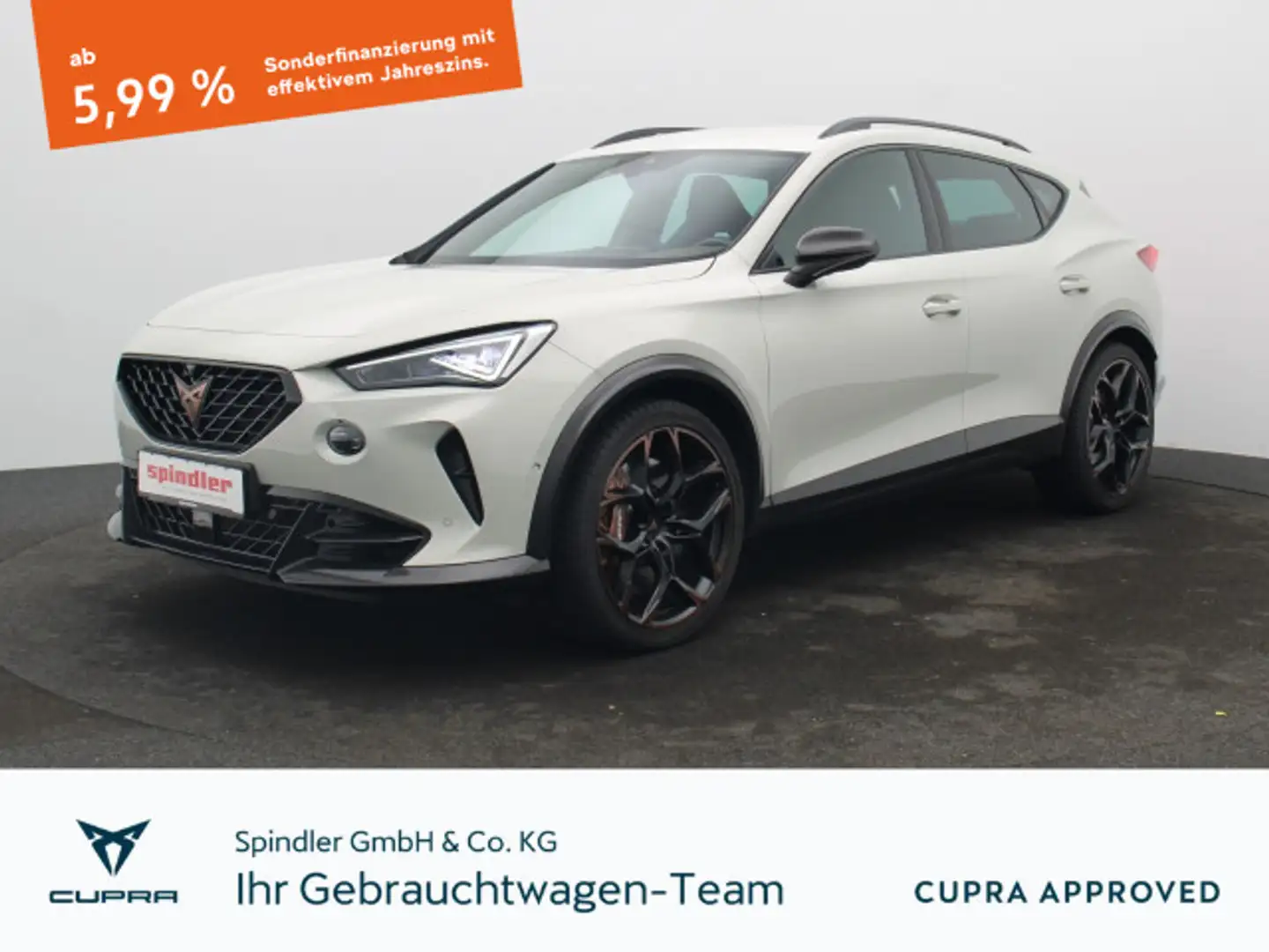 CUPRA Formentor VZ5 Taiga Grey 2.5TSI 4Drive DSG/ Navi Grau - 1