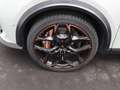 CUPRA Formentor VZ5 Taiga Grey 2.5TSI 4Drive DSG/ Navi Grau - thumbnail 16