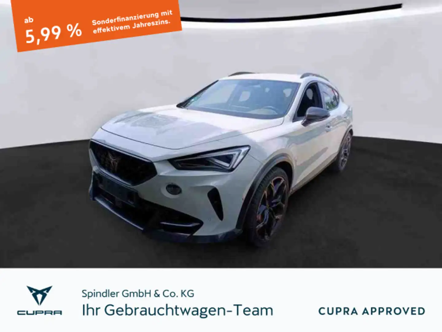 CUPRA Formentor VZ5 Taiga Grey 2.5TSI 4Drive DSG/ Navi Grau - 1