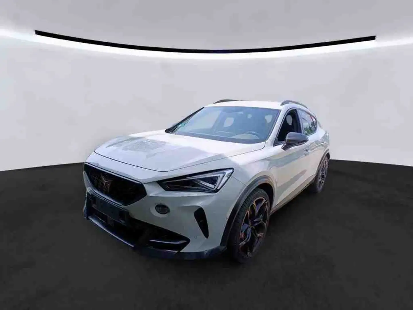 CUPRA Formentor VZ5 Taiga Grey 2.5TSI 4Drive DSG/ Navi Grau - 2