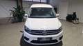 Volkswagen Caddy Life 2,0 TDI 4Motion ''2x Schiebetüren'' Weiß - thumbnail 2