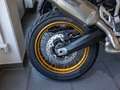 BMW F 900 GS AKRAPOVIC DYNAMIC-P. GRIFFHEIZUNG Alb - thumbnail 9