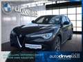 Alfa Romeo Stelvio Super 2,2 ATX AWD Grau - thumbnail 1