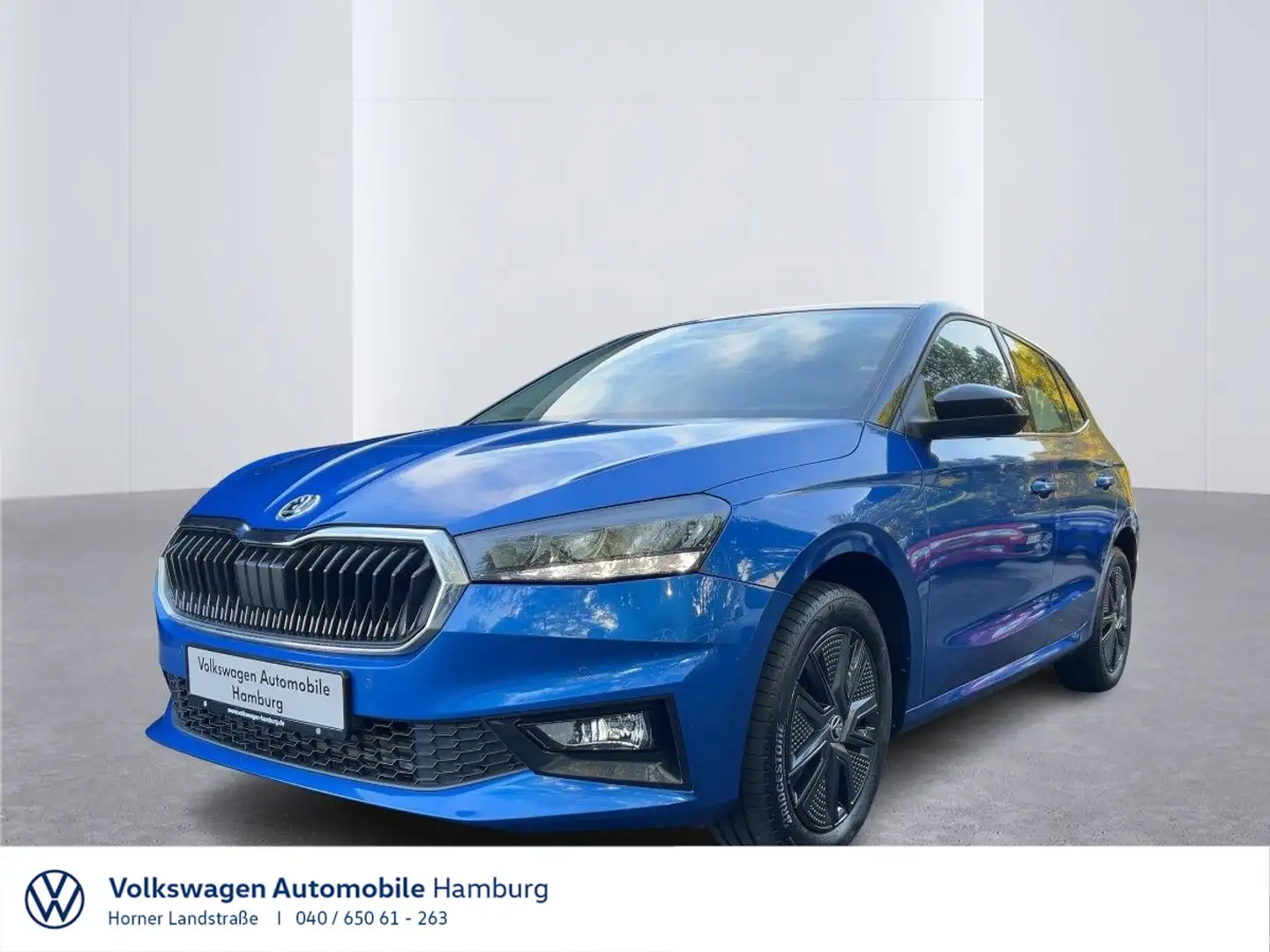 Skoda Fabia Style 1.0 TSI DSG Panorama PDC Sitzheizung Blau - 1