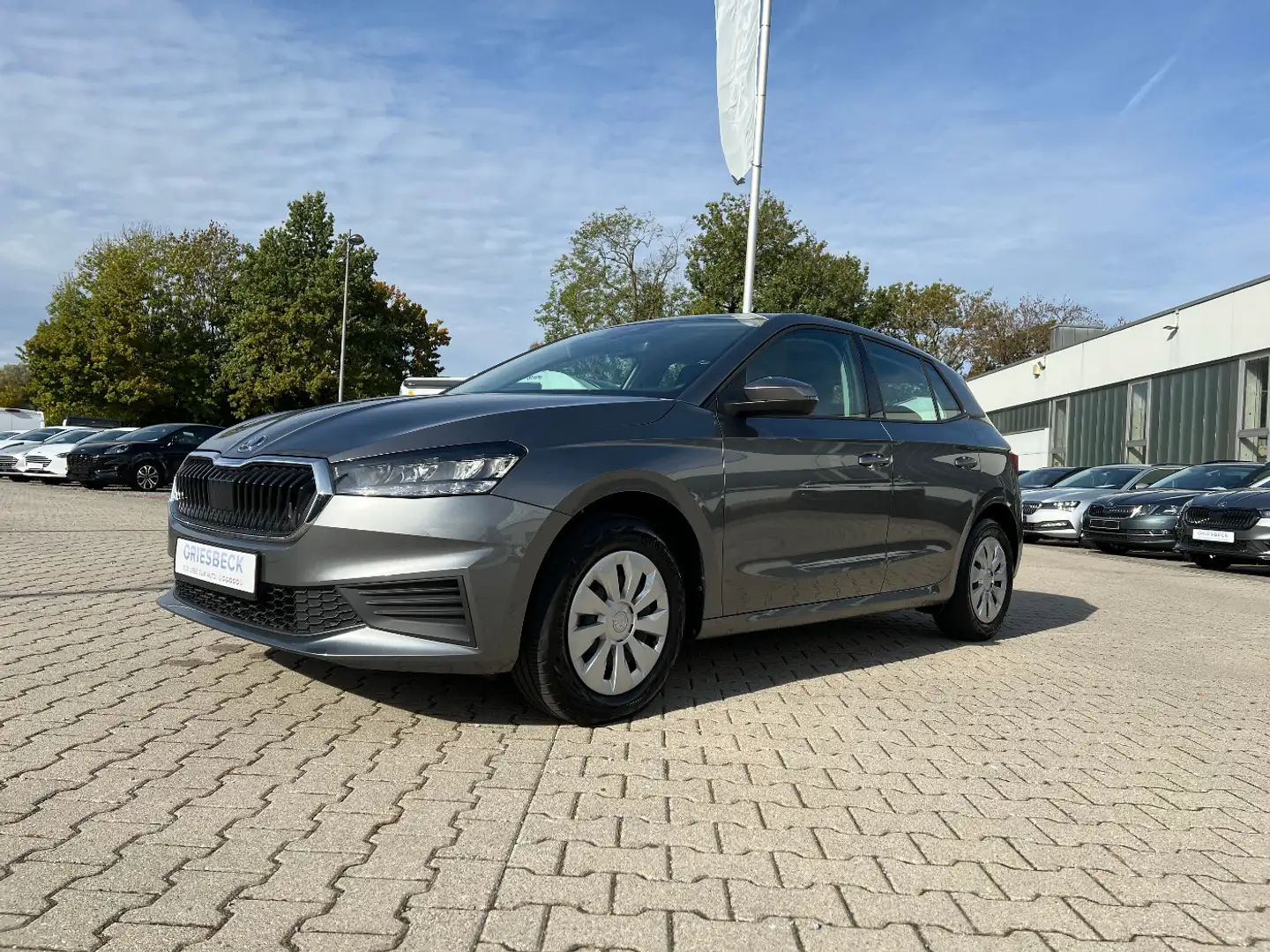 Skoda Fabia 1.0 MPI Active *LED Sitzh. Klima PDC DAB+* Grau - 1