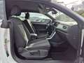 Volkswagen T-Roc I 2022 Cabriolet Cabriolet 1.0 tsi Style 110cv Bianco - thumbnail 11